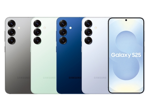 SAMSUNG S25 (12/256G)